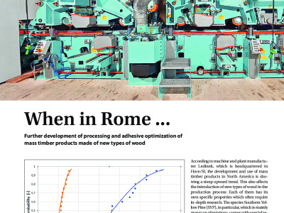 Further development of processing and adhesive optimization of  mass timber products made of new types of wood